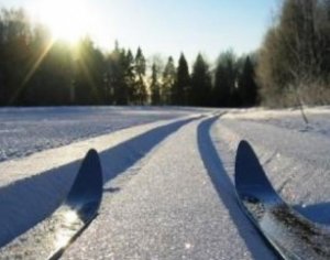 В администрации Калининского района выдвинули предложение открыть лыжную трассу в Муринском парке