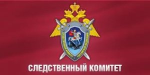 Следственный комитет проводит проверку по факту упавшего с пожарной лестницы школьника