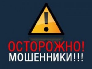 В Петербурге задержали 7 участников мошеннической группировки