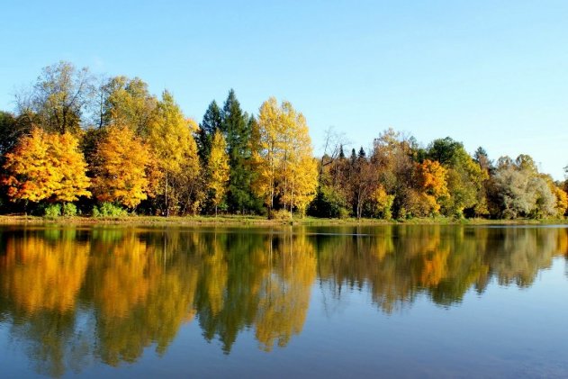 В Пушкине привели в порядок Нижний парк