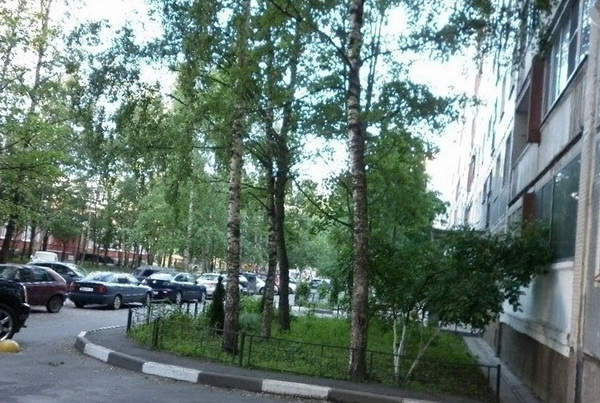 Власти Санкт-Петербурга заплатят 4 миллиарда рублей за ремонт городских дорог